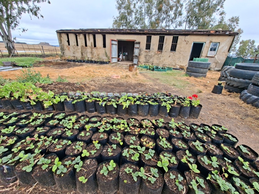 Commercial Property for Sale in Bethlehem Rural Free State